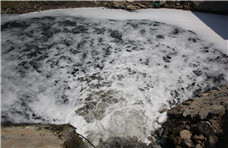 泡沫的形成及其对发酵的影响