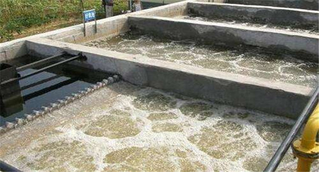 小型机械消泡器 凤谷除泡机脱泡机