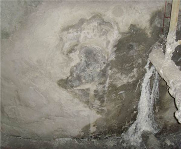 大工业时代,如何破解污水曝气池泡沫漫溢的难题