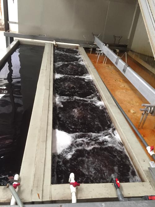 消泡器的作用 消泡器的作用