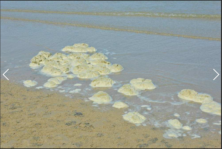 关于机械消泡器的疑问,看这一篇就足够了