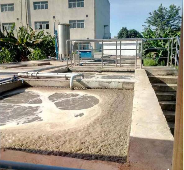 1585706260255932.jpg QQ截图20191211084612.jpg