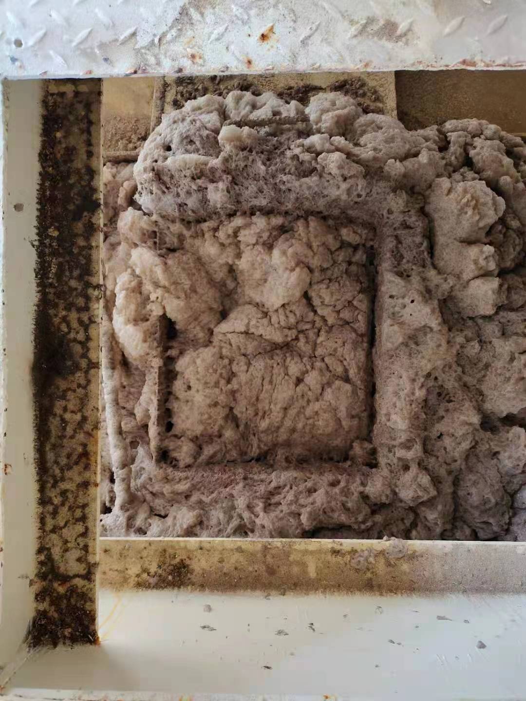 1656575244403629.jpg a082dca2aa3d4a591a45c592d263dc7.jpg